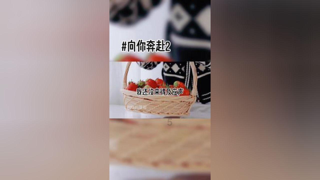 逃离神秘之屋