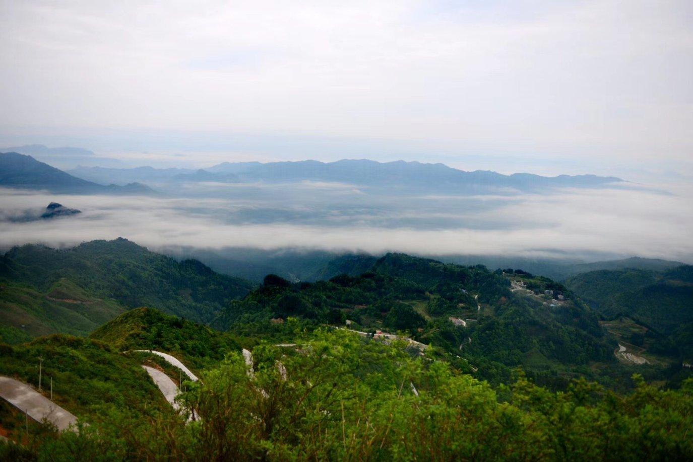 机智问答网页-探索