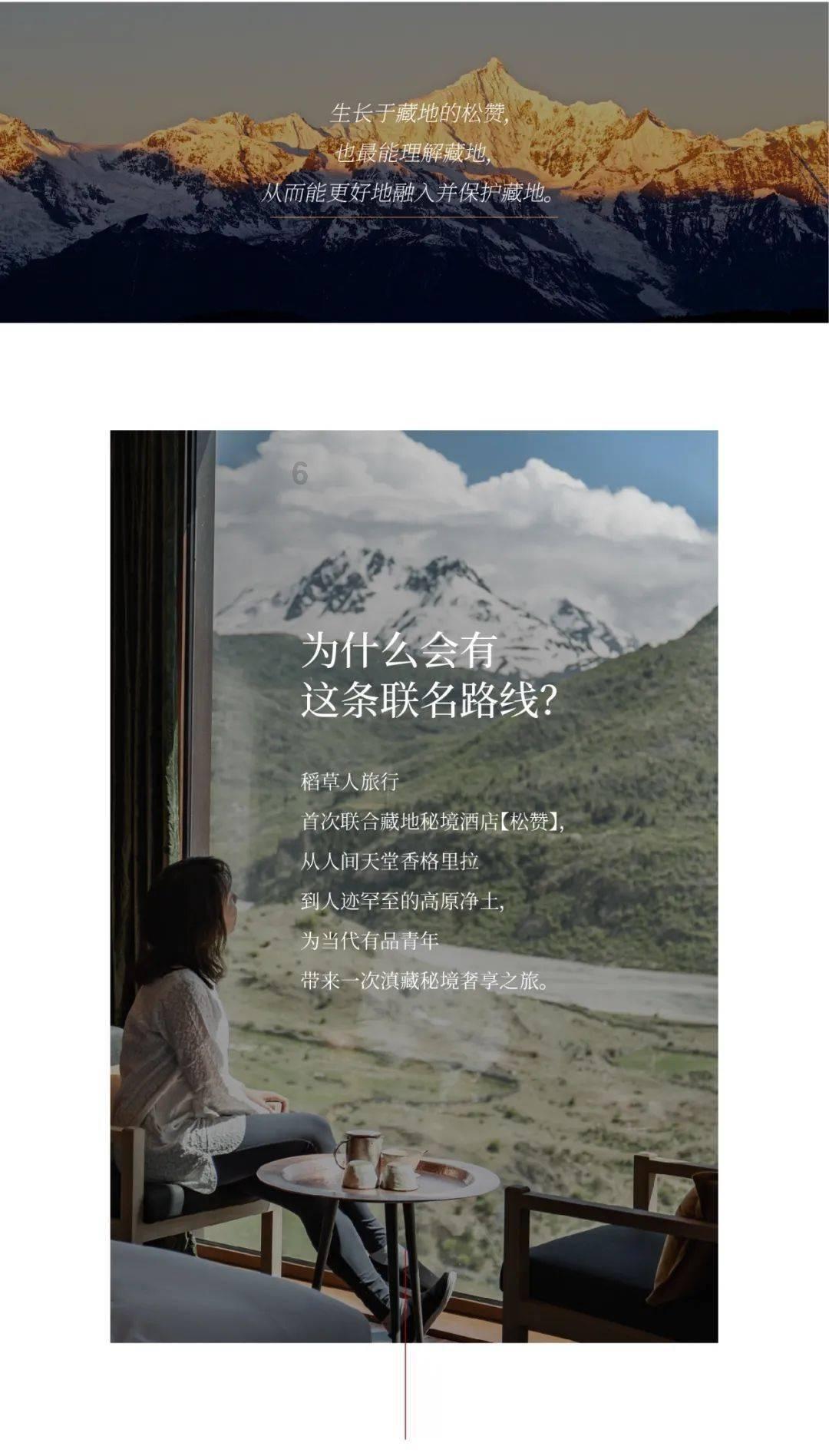 组装机械章鱼龙