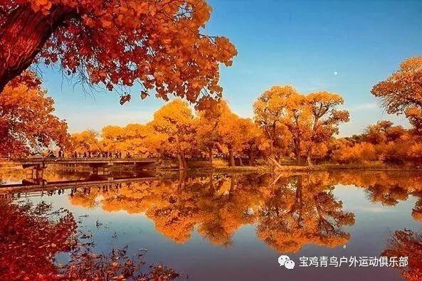 北京清美东方美术培训中心好不好-有问必答平台【中财论坛网站】