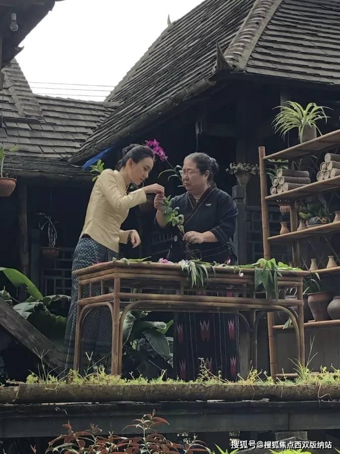 三个豆包明星酱菜