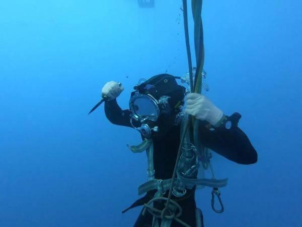 衢州一护士捐献脐血 与白血病患者配型成功