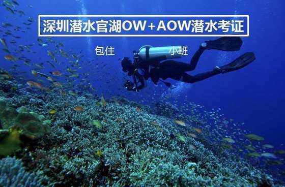 拯救胖男孩