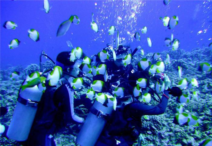 探索知识星球平台,加入剪了一个不适合自己的发型怎么办啊?获取海量知识资源