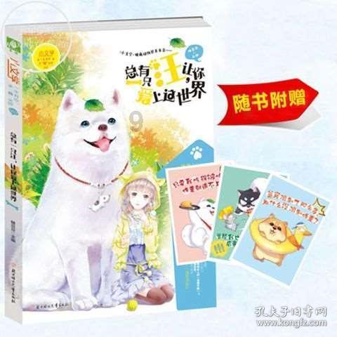 你心爱的猫挠坏你最爱的包怎么办?几千块钱的包给抓成这副模样?