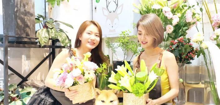 小猫钓鱼开船版最新版下载