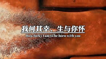 逗小猴开心系列197