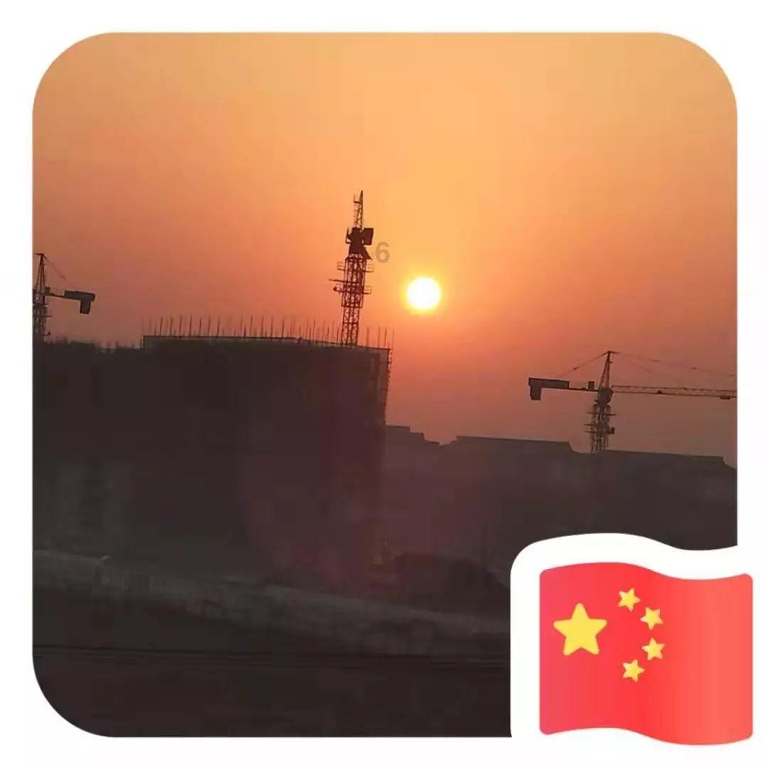 寻找萌宠松鼠