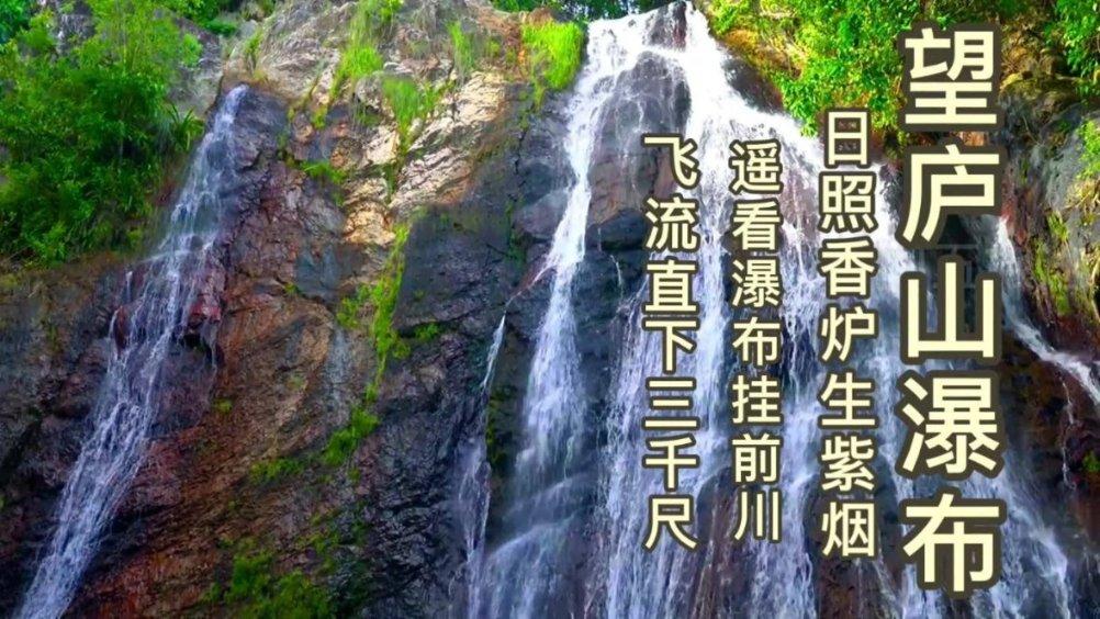 拯救可爱小怪