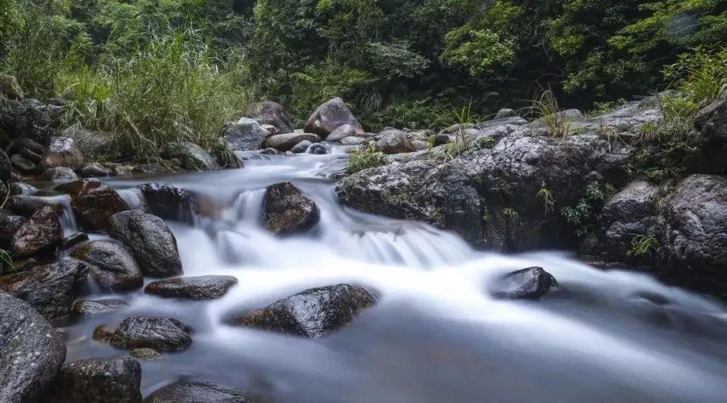 缤纷水果茶