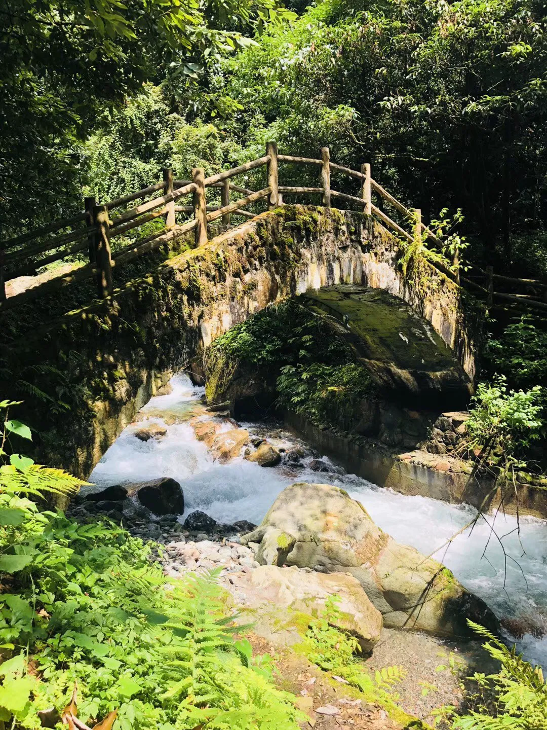 逃离水虎鱼湖