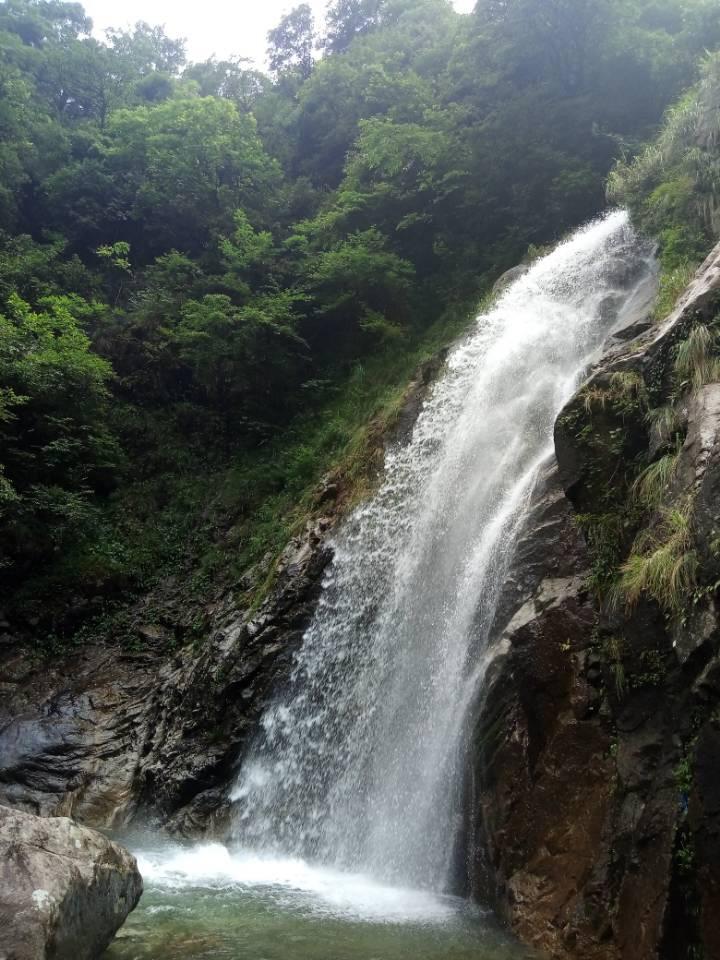 小熊救援