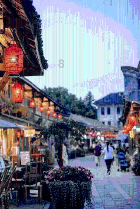 小乌龟逃亡记