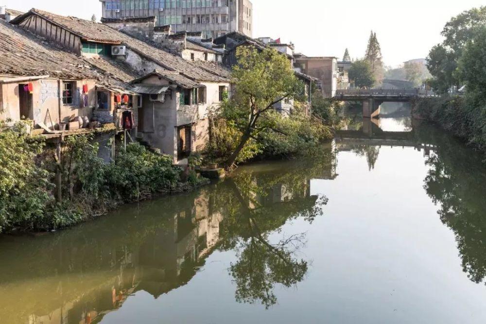 吃豆人的豆人