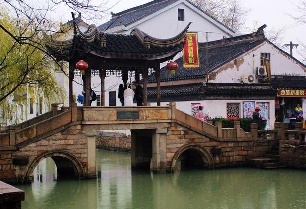 动物帮帮忙保卫家园