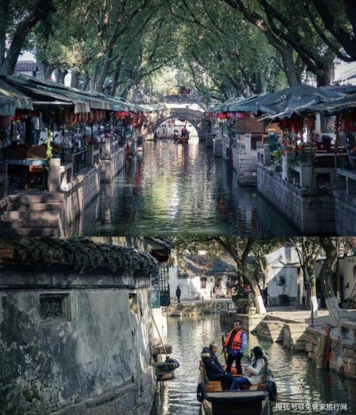 逃离仿真森林