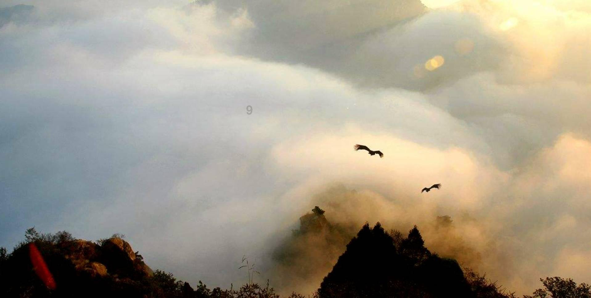 王子异和公司解约失败，他的关注度逐渐下降，是否被雪藏？游戏画面